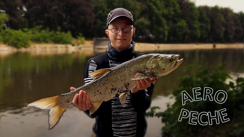 Mon record aspe de 72 cm. Un grand poisson prit à l’ouverture carnassier de 2022.